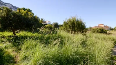 Casa – Dénia, Marquesa VI, la Pedrera - Vista 4