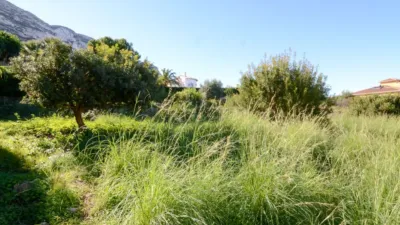 Casa – Dénia, Marquesa VI, la Pedrera - Vista 5