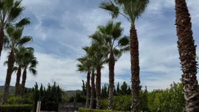 Chalet in Pedreguer photo 29