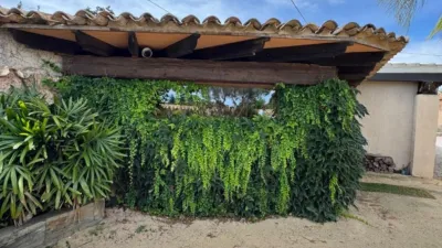 Chalet in Pedreguer photo 48