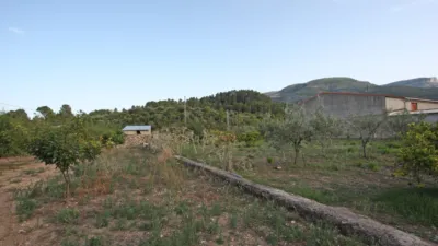 Rustic Finca in Murla photo 7
