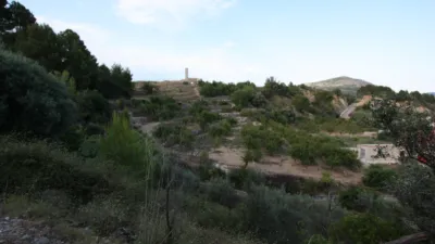 Rustic Finca in Murla photo 9
