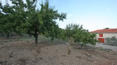 Rustic Finca in Murla photo 14