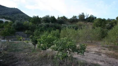 Rustic Finca in Murla photo 11