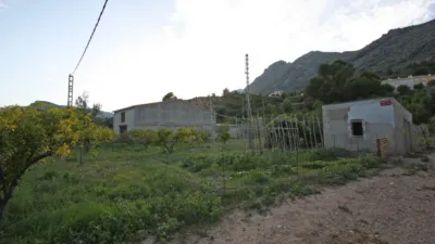 Rustic Finca in Murla photo 12