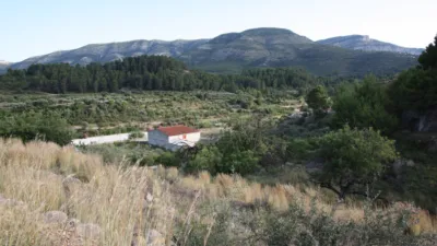 Rustic Finca in Murla photo 4