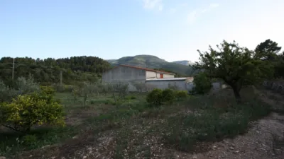 Rustic Finca in Murla photo 13