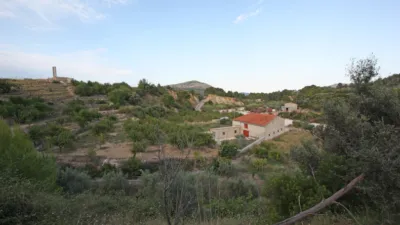Rustic Finca in Murla photo 10
