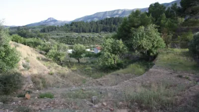 Rustic Finca in Murla photo 15