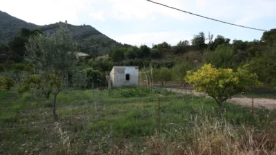Rustic Finca in Murla photo 8