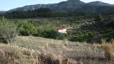 Rustic Finca in Murla photo 5