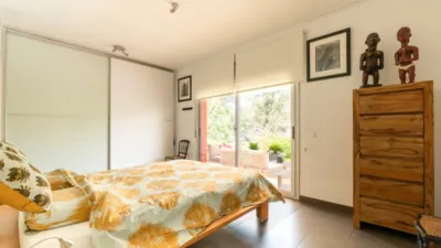 Chalet in Mas Mestre photo 16