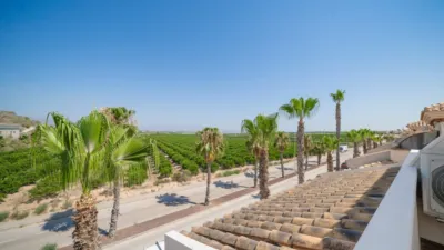 Chalet en Algorfa photo 30