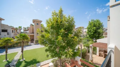 Chalet en Algorfa photo 27