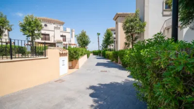 Chalet en Algorfa photo 39