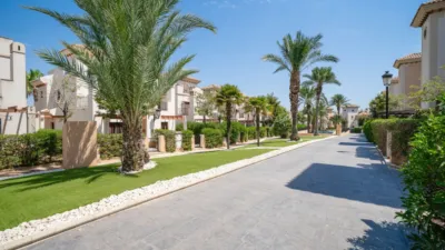 Chalet en Algorfa photo 42