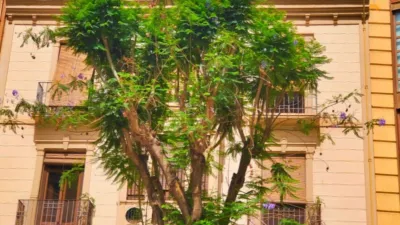 Casa en calle Zona Este — Isla de La Palma, Canarias photo 2