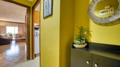 Apartment in Playa - Campello-Playa photo 18