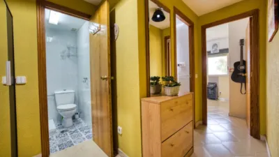 Apartment in Playa - Campello-Playa photo 7