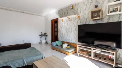 Apartment in Creu de Barberà photo 6