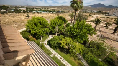 Apartment in Playa - Campello-Playa photo 25