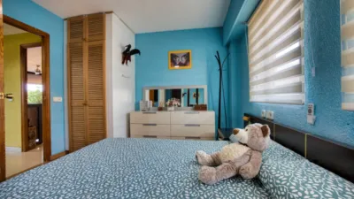 Apartment in Playa - Campello-Playa photo 10