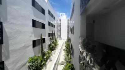 Apartment in Centro photo 23