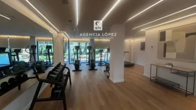 Apartment in Centro photo 22