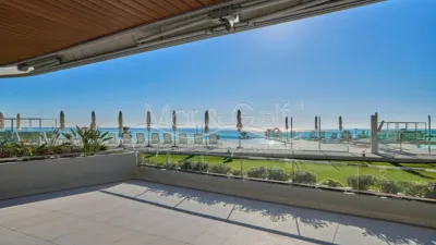 Pis – Alicante - Alacant - Vista 3