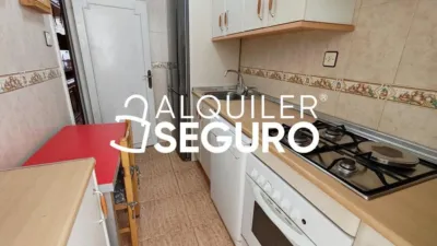 Pis – Alacant / Alicante, el Pla del Bon Repòs, l'Alacantí - Vista 4