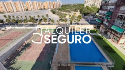 Pis – Alicante - Alacant - Vista 2