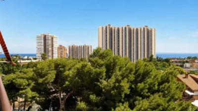 Piso – Alacant / Alicante, Cap de l'Horta, l'Alacantí - Vista 5