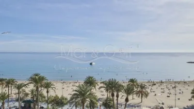 Pis – Alicante - Alacant - Vista 3
