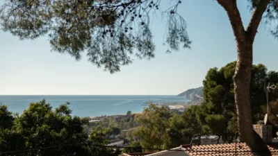 Chalet in Bellamar photo 26