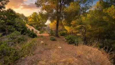 Terreno en venta en Buenavista - Más