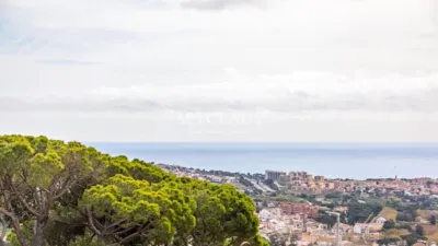 Chalet in Coma Fosca - Can Comulada photo 7