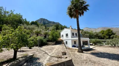 Rustic Finca in Pego photo 9