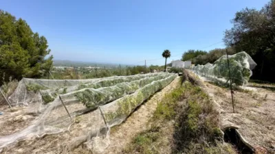 Rustic Finca in Pego photo 12