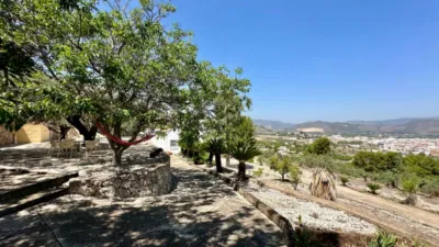 Rustic Finca in Pego photo 7