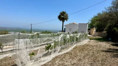 Rustic Finca in Pego photo 11