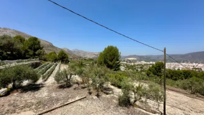 Rustic Finca in Pego photo 25