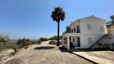 Rustic Finca in Pego photo 10