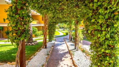 Apartamento en Carrer de la Mar Rizada photo 29
