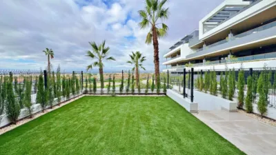 Pis – Torrevieja - Vista 5