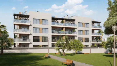 Pis – Torrevieja, Cabo Cervera-Playa la Mata - Vista 2