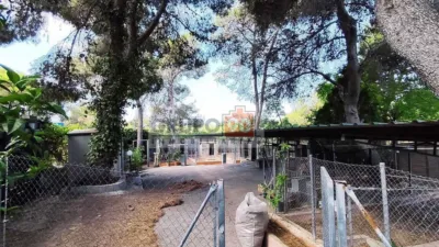 Chalet in El Bosque photo 9