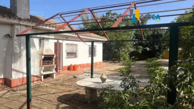 Chalet in Barrio Nuevo photo 3