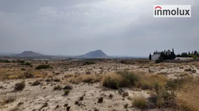 Terreno en venta en Elx - Elche - Vista 5