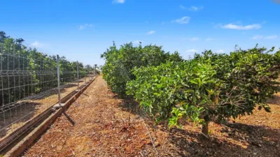 Terreno en venta en Ondara - Más