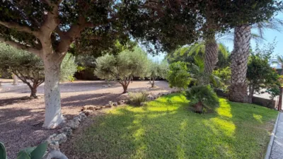 House in La Font photo 26